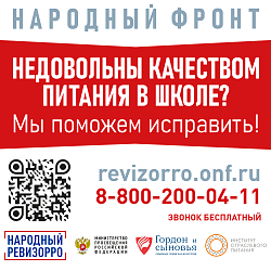 Народный фронт